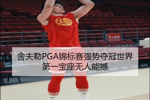 舍夫勒PGA锦标赛强势夺冠世界第一宝座无人能撼